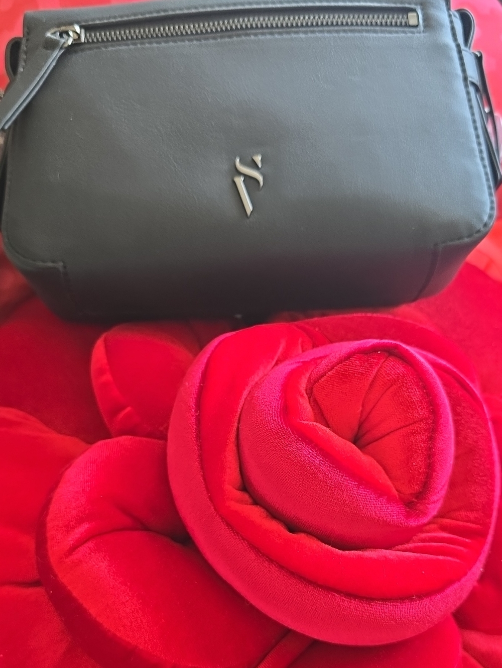 Simply Vera VeraWang Sintra Vegan Leather Crossbody Bag with Dark Silver Logo